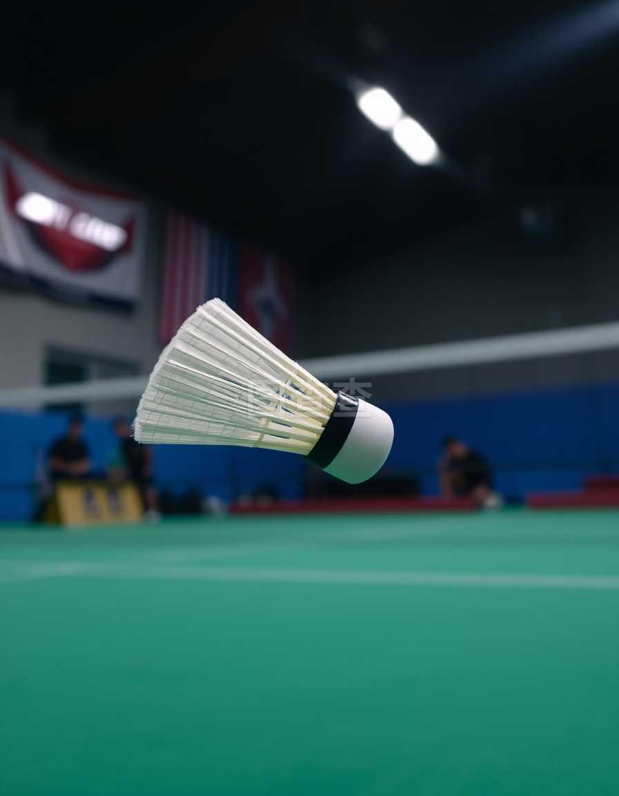 少球迷的心 少球迷的心