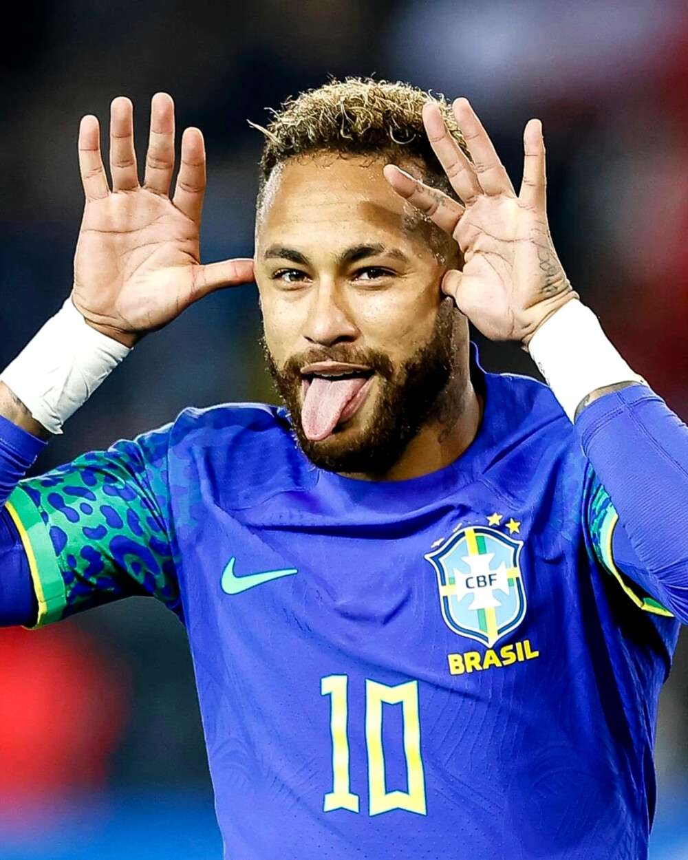 提出了新的 提出了新的